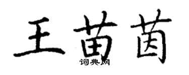 丁謙王苗茵楷書個性簽名怎么寫