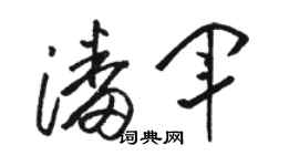 駱恆光潘軍草書個性簽名怎么寫