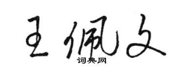 駱恆光王佩文草書個性簽名怎么寫