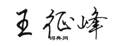 駱恆光王征峰行書個性簽名怎么寫