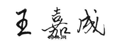 駱恆光王嘉成行書個性簽名怎么寫