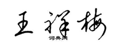 梁錦英王祥梅草書個性簽名怎么寫