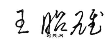 駱恆光王昭雄草書個性簽名怎么寫