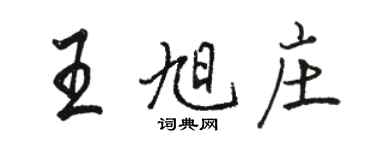 駱恆光王旭莊行書個性簽名怎么寫