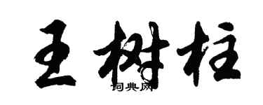 胡問遂王樹柱行書個性簽名怎么寫