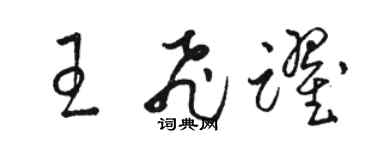 駱恆光王飛躍草書個性簽名怎么寫