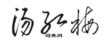 駱恆光湯紅梅草書個性簽名怎么寫
