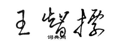 駱恆光王智標草書個性簽名怎么寫