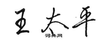 駱恆光王太平行書個性簽名怎么寫