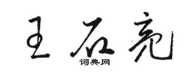 駱恆光王石亮草書個性簽名怎么寫