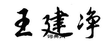 胡問遂王建淨行書個性簽名怎么寫