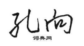 駱恆光孔向行書個性簽名怎么寫