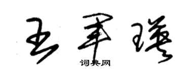 朱錫榮王軍瑛草書個性簽名怎么寫