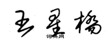 朱錫榮王星橋草書個性簽名怎么寫