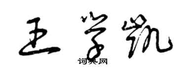 曾慶福王學凱草書個性簽名怎么寫