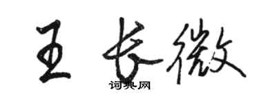 駱恆光王長微行書個性簽名怎么寫
