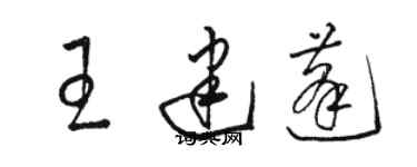 駱恆光王建蓬草書個性簽名怎么寫