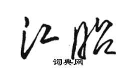 駱恆光江昭草書個性簽名怎么寫