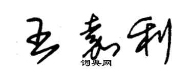 朱錫榮王嘉利草書個性簽名怎么寫