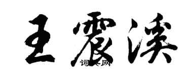 胡問遂王震溪行書個性簽名怎么寫