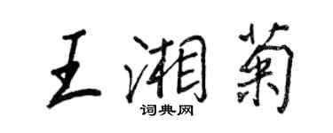 王正良王湘菊行書個性簽名怎么寫