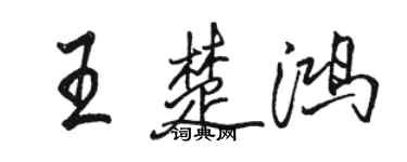 駱恆光王楚鴻行書個性簽名怎么寫