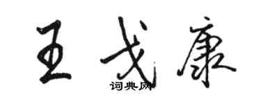 駱恆光王戈康行書個性簽名怎么寫