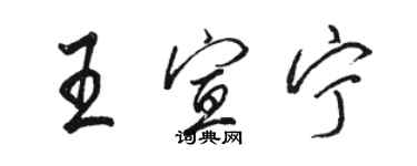 駱恆光王宣寧行書個性簽名怎么寫