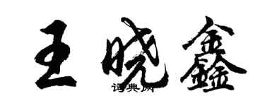 胡問遂王曉鑫行書個性簽名怎么寫