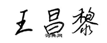 王正良王昌黎行書個性簽名怎么寫