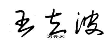 朱錫榮王立波草書個性簽名怎么寫