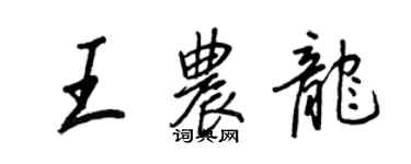 王正良王農龍行書個性簽名怎么寫
