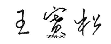 駱恆光王賽松草書個性簽名怎么寫