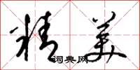 梁錦英精美草書怎么寫