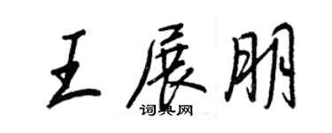 王正良王展朋行書個性簽名怎么寫