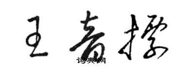 駱恆光王音標草書個性簽名怎么寫