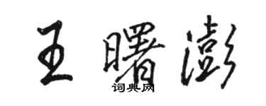 駱恆光王曙澎行書個性簽名怎么寫