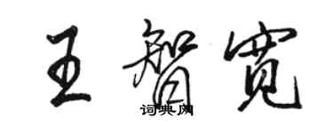 駱恆光王智寬行書個性簽名怎么寫