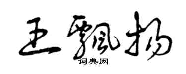 曾慶福王飄揚草書個性簽名怎么寫