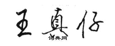 駱恆光王真仔行書個性簽名怎么寫