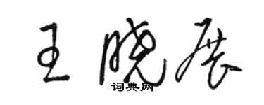 駱恆光王曉展草書個性簽名怎么寫