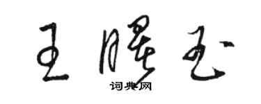 駱恆光王曙玉草書個性簽名怎么寫