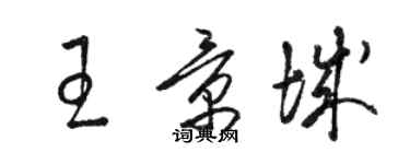 駱恆光王景城草書個性簽名怎么寫