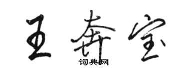 駱恆光王奔寶行書個性簽名怎么寫