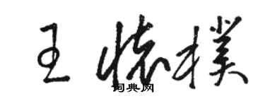 駱恆光王懷朴草書個性簽名怎么寫