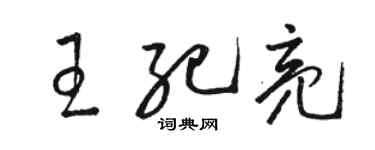 駱恆光王紀亮草書個性簽名怎么寫