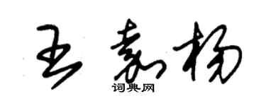朱錫榮王嘉楊草書個性簽名怎么寫