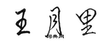 駱恆光王月里行書個性簽名怎么寫