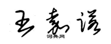 朱錫榮王嘉諾草書個性簽名怎么寫