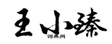 胡問遂王小臻行書個性簽名怎么寫